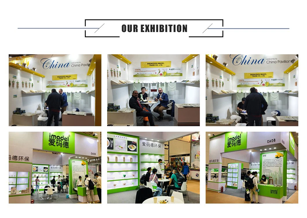 Exhibition Exhibition