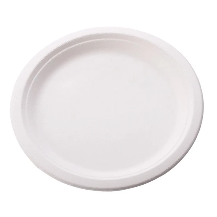 Zuckerrohrbagasse -Einwegplatten