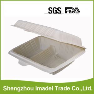 Bagasse-Imbissbehälter